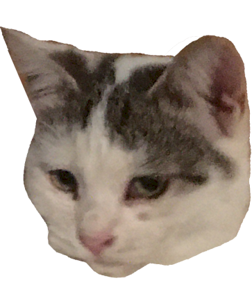 catdissapointment.png