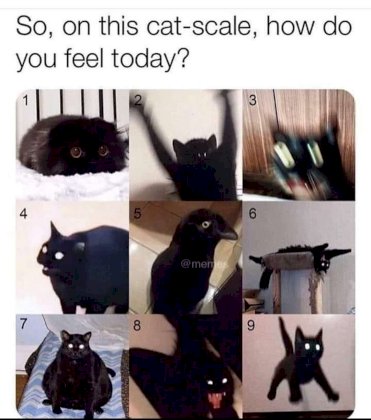 1676915630536473.jpg