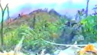 youtube-5Pkk1Cac-9I.mp4