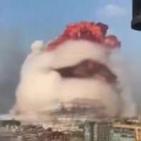 15966531293120.webm