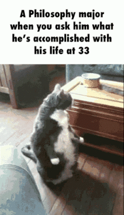 1652177151980.gif
