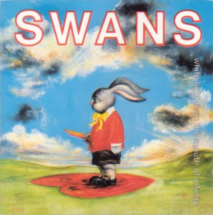 swans.jpg
