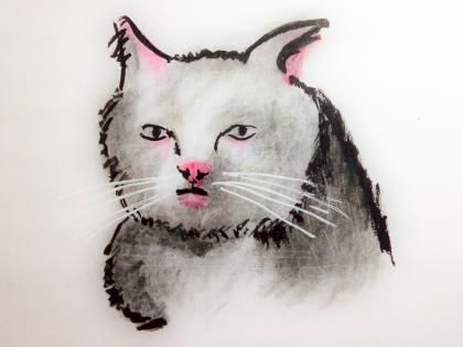 meme-cat-2.png