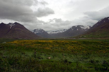 Hjaltadalur.jpg