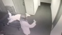 8990e4e42331890e.mp4