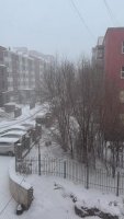 IMG_0431.mov