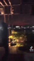 56454.mp4