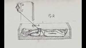 IMG_2128.jpeg