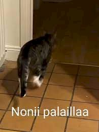 palaillaa.jpeg