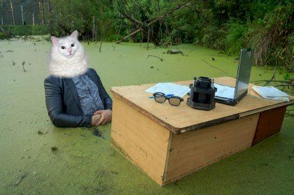 large white swampboy.jpg
