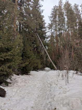 PXL_20220403_115144180.jpg