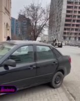 1497214126216593448.mp4