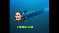 submarin.mp4