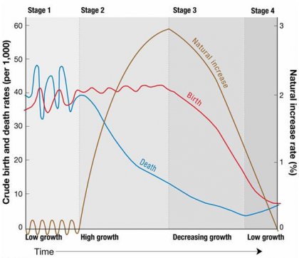 IMG_7556.jpeg