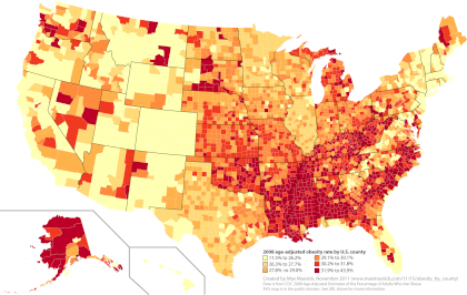obesity_by_county_large.png
