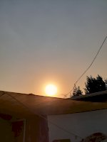 20201026_164006.jpg