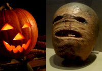 com-halloween-pumpkin-stock-turnip-rannphairti-anaithnid.jpg