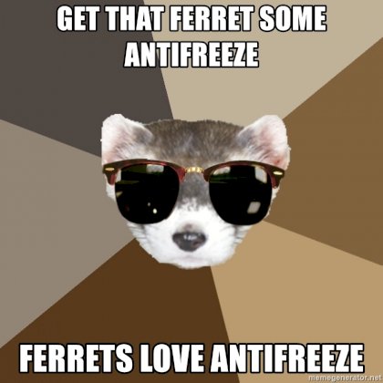 freeze.jpg