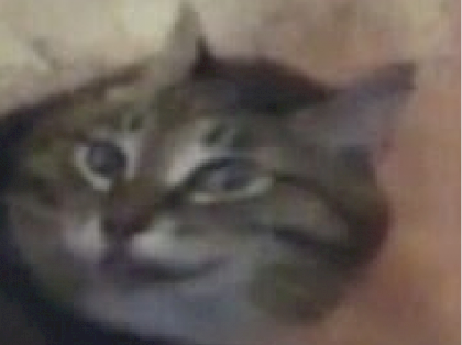 1684944091463829.png