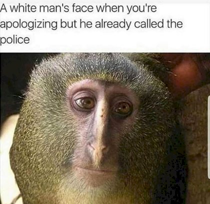 Nigga Apologies.jpg