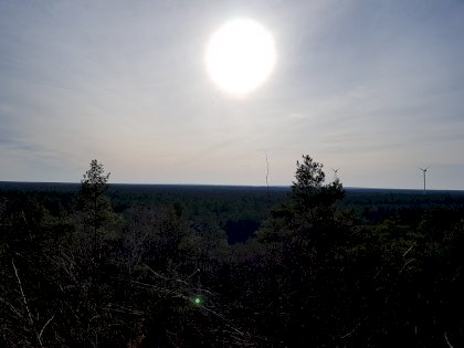 20220213_143125.jpg