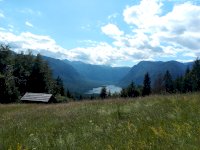 IMG_20200707_163102_8.jpg