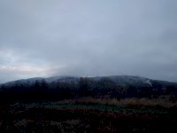IMG_20191125_081600.jpg