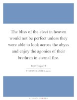 the-bliss-of-the-elect-in-heaven-would-not-be-perfect-unless-they-were-able-to-look-across-the-quote-1.jpg
