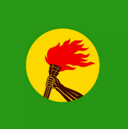 Screenshot 2024-05-19 at 19-47-21 new zaire flag 1 тыс изображений найдено в Яндекс Картинках.png