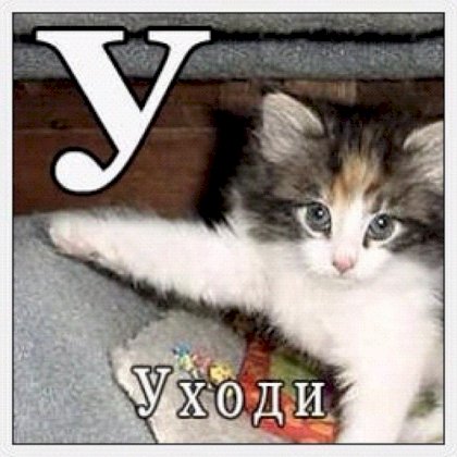 1651644265442.jpg