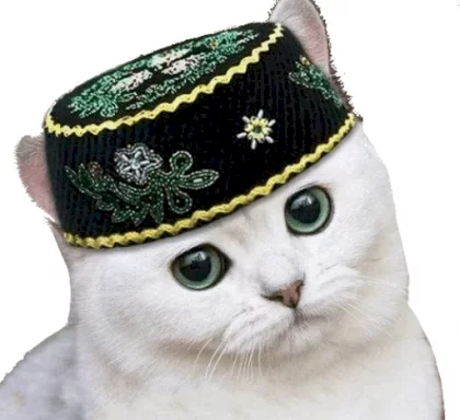 kottok.webp