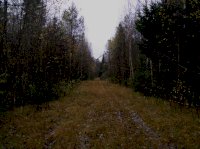 P1010151.jpg