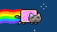 schmus_cat.mp4