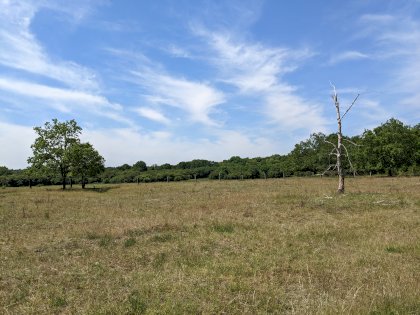 PXL_20220605_103138440.jpg