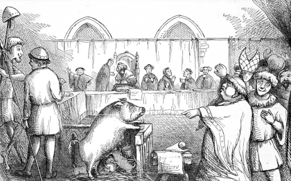 pigs-1.png