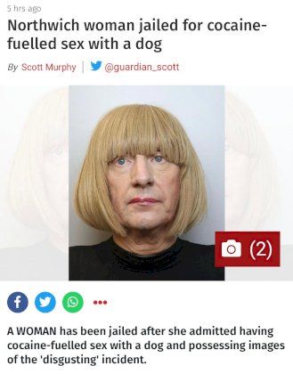 where to begin.jpg