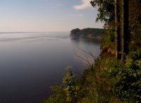 P1010176.jpg