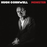 Hugh Cornwell - Let Me Down Easy.opus
