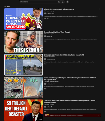 Screenshot 2024-06-24 at 11-19-02 china collapse - YouTube.png