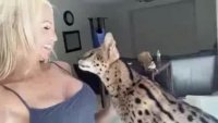savannah_liebt_augenkontakt.mp4