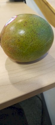 IMG_20230914_180832_587.jpg