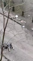 16459926260220.mp4
