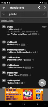 Screenshot_20211105-011813_dictcc.jpg