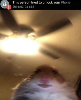 1557264633539.jpg