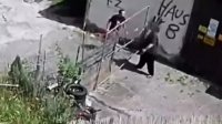 33c44c5d565f7d6a.mp4