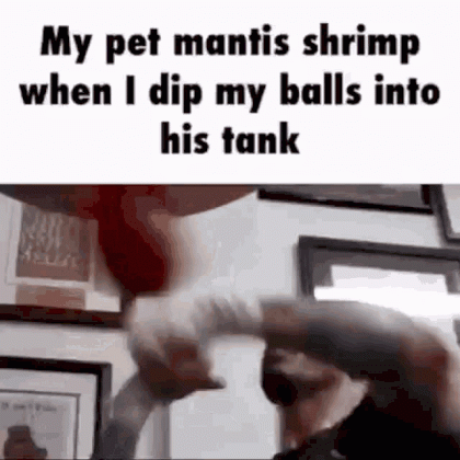 1652662439595.gif