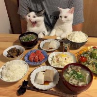 kadse suppe.jpg