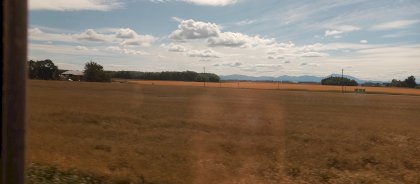 IMG_20230617_162659_595.jpg