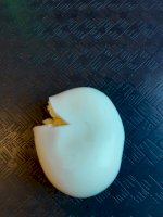 egg.jpg