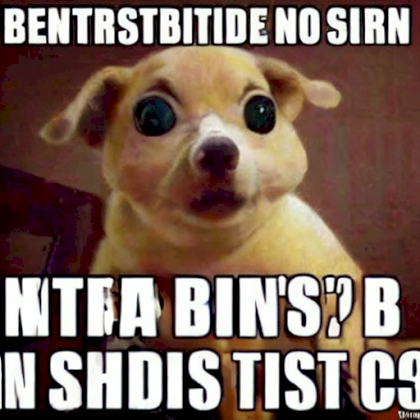 índice5.png